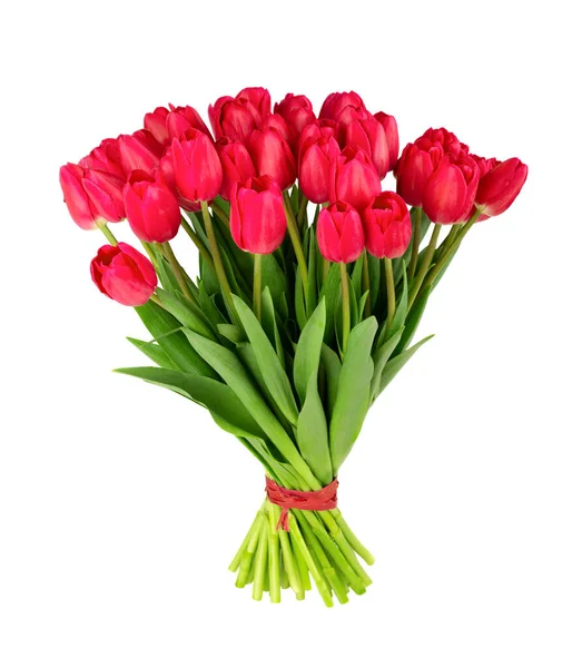 Свежий Пышный Букет Красных Тюльпанов Белом Фоне — стоковое фото