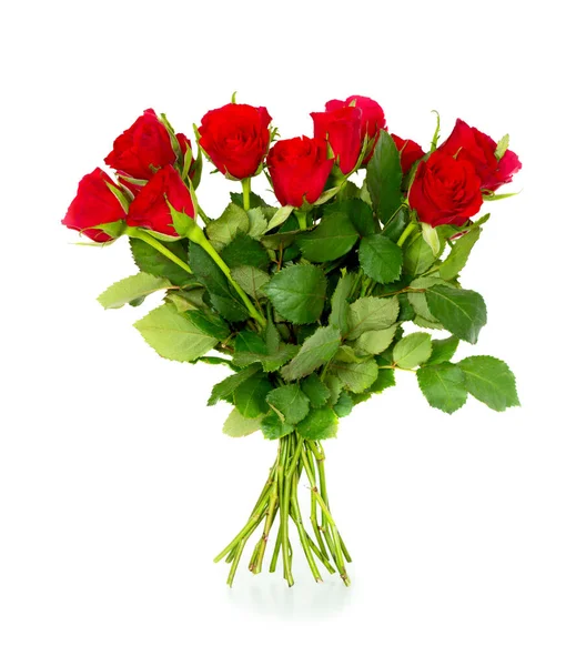 Bouquet Red Scarlet Roses Isolated White Background — 스톡 사진