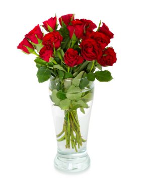 Bouquet of red scarlet roses in vase isolated on white background