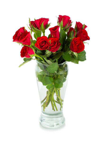 Bouquet of red scarlet roses in vase isolated on white background