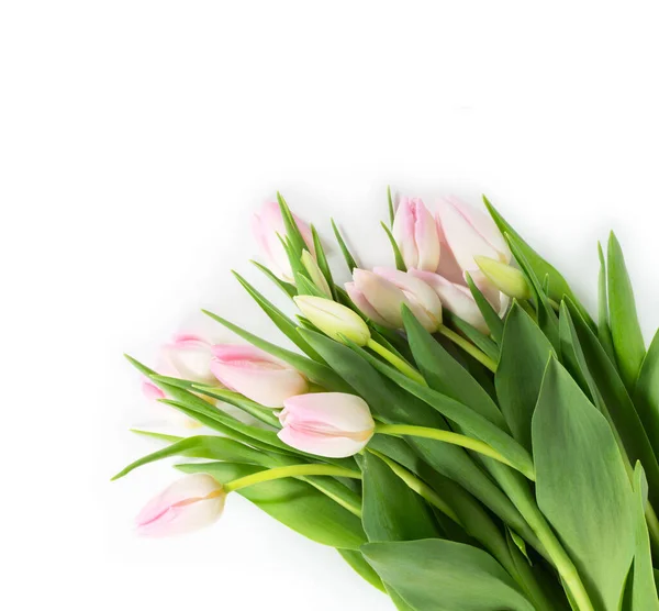 Bouquet Beautiful Pink Tulips White Background Top View Copy Space — Foto de Stock