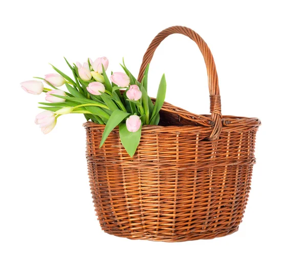 stock image Bouquet of pink tulips in a basket isolated on white background