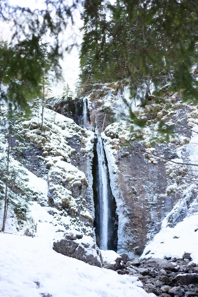 Mountain waterfall with rocks and cliffs covered with snow during snowfall, the mountains trees. Tatra mountains, Poland