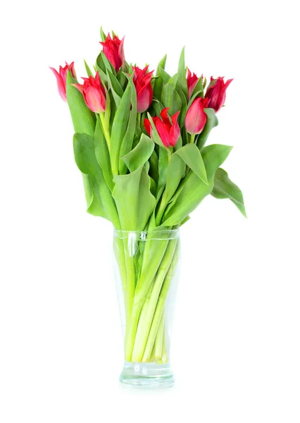 Букет Красных Тюльпанов Прозрачной Вазе Изолированный Белом Фоне — стоковое фото