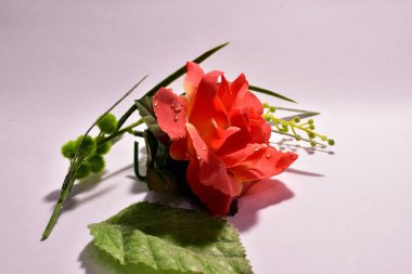 Sevgililer Günü tebrik kartı. Üzerinde pembe arka planda büyük bir gül ve yeşil yapraklar var..