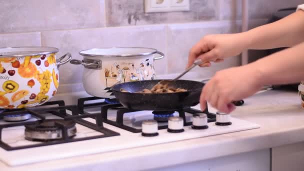 Bir Kadın Gaz Ocağında Tavada Kızartılmış Bir Kaşıkla Yemeği Karıştırır — Stok video