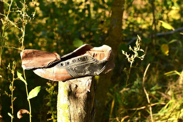 Old Torn Lonely Sneaker Left Lying Foam Forest — Stock Photo, Image