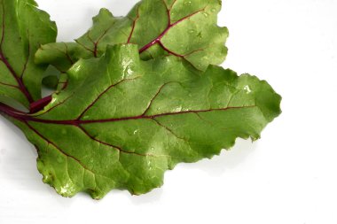 Vitamin salatası hazırlamak için kırmızı pancar yaprakları beyaz arka planda serilmiştir..