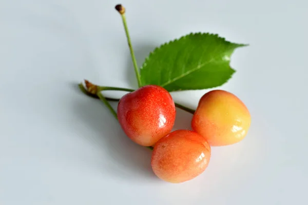 新鲜成熟的黄色樱桃 绿叶在白色的背景上 — 图库照片