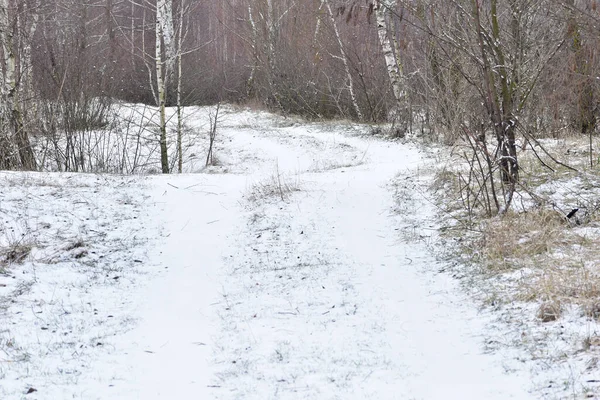 Wiejska Droga Położona Pomiędzy Drzewami Jest Pokryta Śniegiem — Zdjęcie stockowe