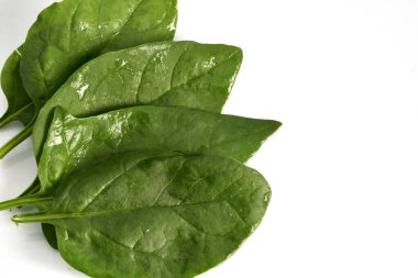 Beyaz arka planda yeşil ıspanak yaprakları uzanıyor, vitaminlerle dolu, sağlıklı bir yaşam tarzı..