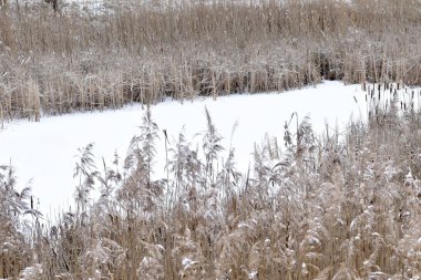 Kış. İlk kar etraftaki her şeyi kapladı, donmuş göldeki buz da dahil..