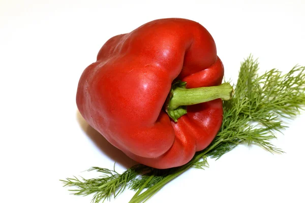 Rote Paprika Liegt Auf Einem Bund Dill — Stockfoto