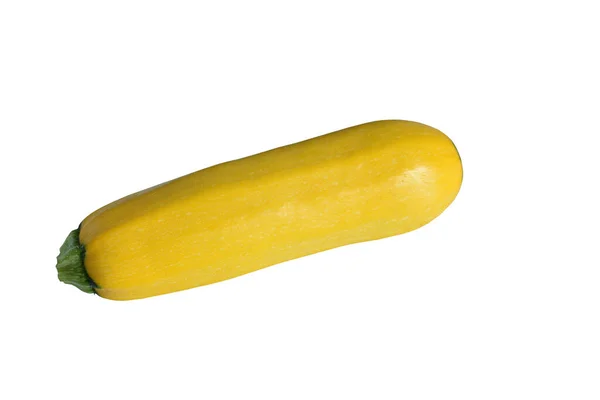 Eine Gereifte Mittelgroße Zucchini Liegt Auf Weißem Hintergrund — Stockfoto