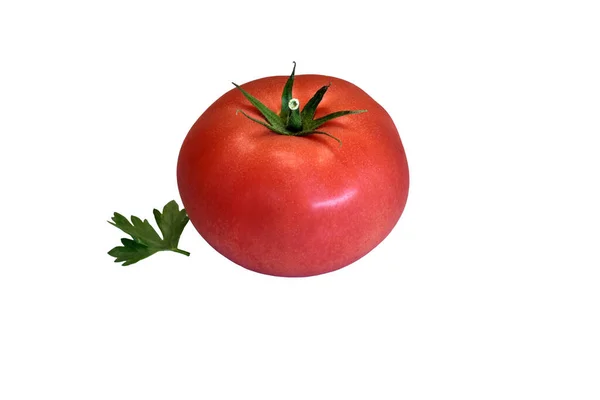 Reife Rote Runde Tomate Und Grünes Blatt — Stockfoto