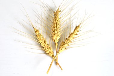 Üç kulaklı buğday, orta boy, beyaz arka planda yatıyor..