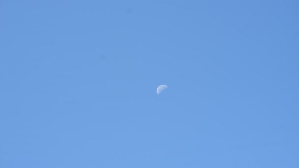 Hälften Månen Lyser Som Vit Fläck Den Blå Himlen Dagen — Stockvideo