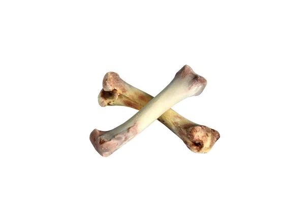 Knochen Isoliert Auf Weißem Hintergrund Hochwertiges Foto — Stockfoto