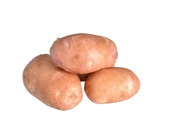 Giovane Cultivar Patate Rosa Americana Isolata Fondo Bianco Foto Alta — Foto Stock