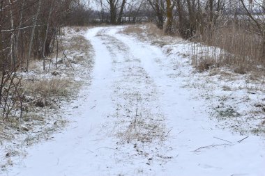 Kış manzarası. Ormanda uzanan kırsal yol ilk yağan karla kaplıydı..