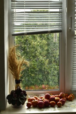 Pencere camına yağmur damlası. Dışarıda yağmur yağıyor. Sebzeler, bir demet buğday ve pencere kenarında saksıda bir çiçek var..