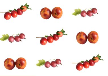 Beyaz arka planda dokuz fotoğrafta üç çeşit meyvenin kolajı. Erik, Bektaşi üzümü, şeftali. GIMP ile oluşturuldu