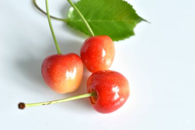 Beyaz arka planda yeşil yapraklı olgun sarı kiraz meyveleri..