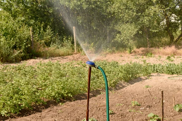 Στιγμή Του Ποτίσματος Του Κήπου Χρησιμοποιώντας Μια Εγκατάσταση Άρδευσης Υπάρχει — Φωτογραφία Αρχείου