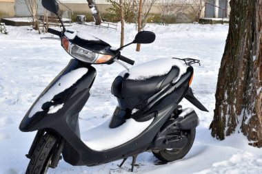 Beyaz soğuk kar, ağacın altındaki scooter 'ı kalın kaplamış..