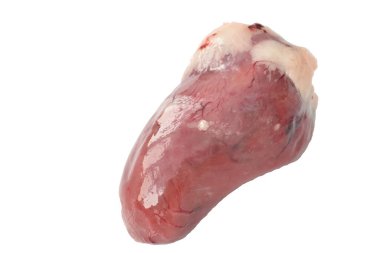 Poultry meat. Turkey heart close-up. clipart