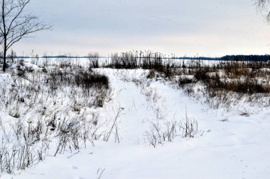 Kırsal bir yol ve kuru otlarla kaplı bir tarla beyaz karla kaplıdır..