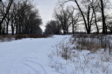 Çam ormanında karlı bir yol. Karla kaplı ağaçlarla kaplı kış manzarası. Yüksek kalite fotoğraf