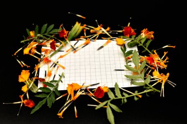 Tebrik kartı. Siyah arka planda çiçek yaprakları ve yeşil yapraklar. Kompozisyonun ortasında beyaz bir sayfa var..