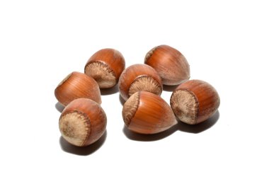 Several ripe hazelnuts, ready to eat, lie on a white background. clipart