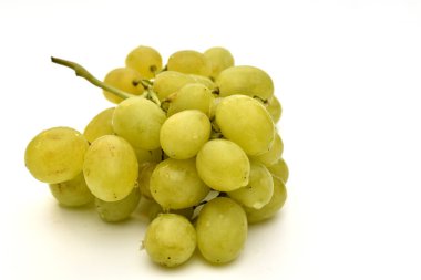 Beyazın üzerine izole edilmiş yeşil üzüm dalları. Yüksek kalite fotoğraf