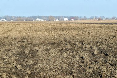 Baharın başında. Ufukta toprak ve gökyüzü olan bir tarla..