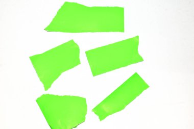 Yırtık yeşil kağıt parçaları beyaz arka planda yatıyor..