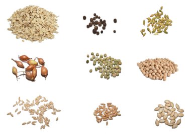 Beyaz zemin üzerinde çeşitli tohumları tasvir eden dokuz fotoğraf kolajı.