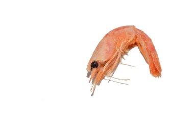 Pişirmeye hazır kırmızı karides beyaz arka planda yatıyor..