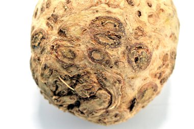 Yuvarlak kereviz kökü beyaz bir zeminde bulunur. Yakın plan..