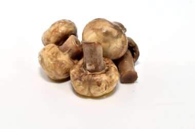 Marinated champignon mushrooms ready to eat lie on a white background.