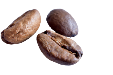 Beyaz arka planda kahve çekirdekleri. Yakın plan. Üst görünüm.