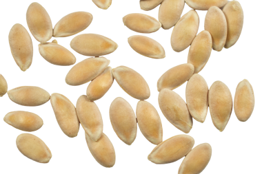 Genel kavun çekirdekleri bir PNG arka planında yatar.