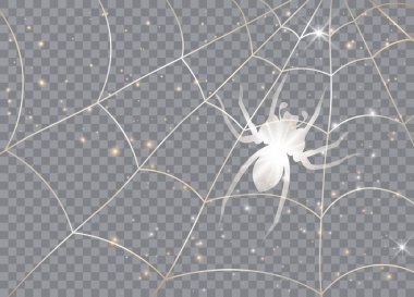 Spider on a web. Isolated on transparent background. Vector illustration. Graphic concept for your design clipart