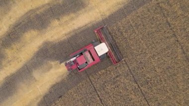 Kazakistan, Astana-09.22.2022: Buğday tarlasını birleştirin. Buğday hasadı, tahıl hasadı, hava görüntüsü. Buğday, yulaf, tarla, çiftlik ve tarım alanlarında arpa hasat edin. Makine hasadı.