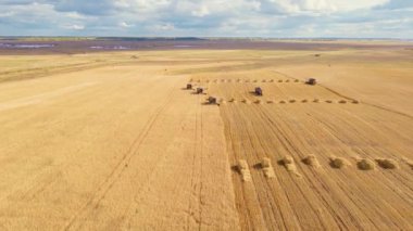  Buğday, yulaf, tarla, çiftlik ve tarım arazilerinde arpa hasat eden hava manzarası. Buğday tarlasını biçen hasat biçme makinesini birleştirin. Buğday ve ekin hasat. Şimdi tarlada birleşiyor.