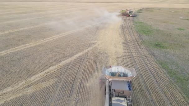 Kazakhstan Astana 2022 Combine Harvester Cutting Wheat Field Harvest Wheat — Stok Video