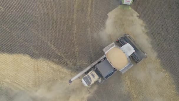 カザフスタン アスタナ 2022 コムギ畑で収穫したコムギ穀物を空中から収穫するコムギ オート麦 大麦を畑 農地で収穫する農業機械の収穫 — ストック動画