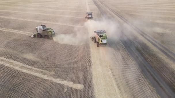 Kazakhstan Astana 2022 Harvest Wheat Grain Crop Air View Plowing — 비디오