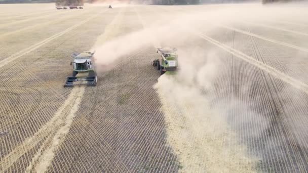 Kasachstan Astana 2022 Getreideernte Aus Der Luft Ernte Von Weizen — Stockvideo